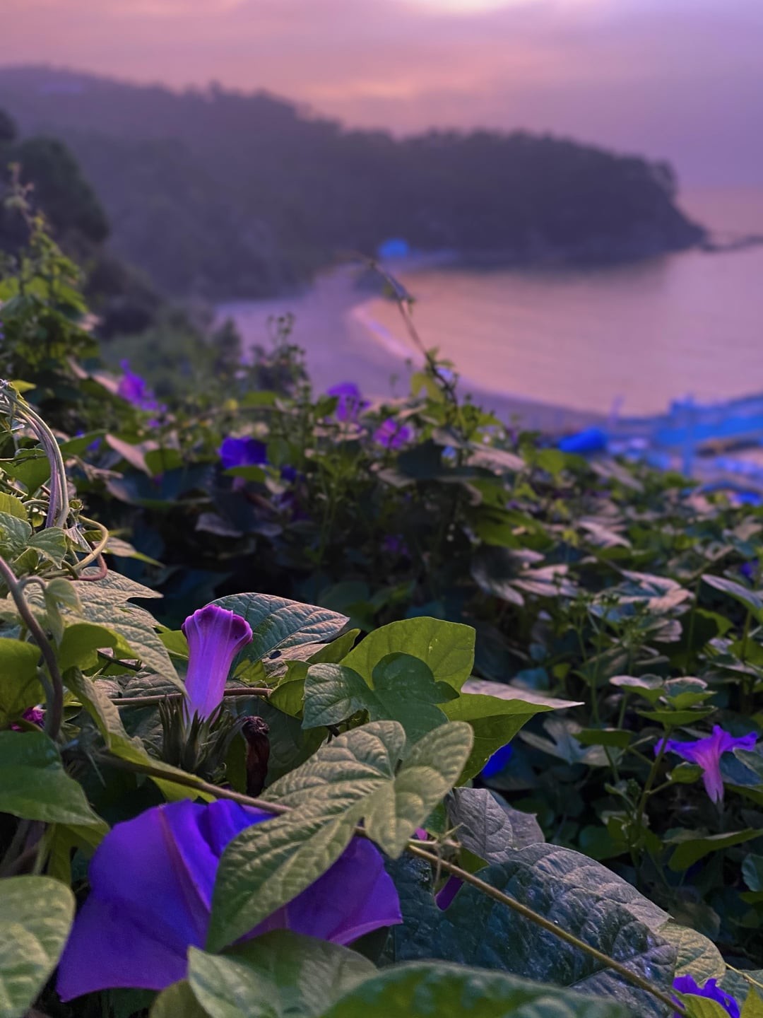 8. Фиолетово-лиловый закат