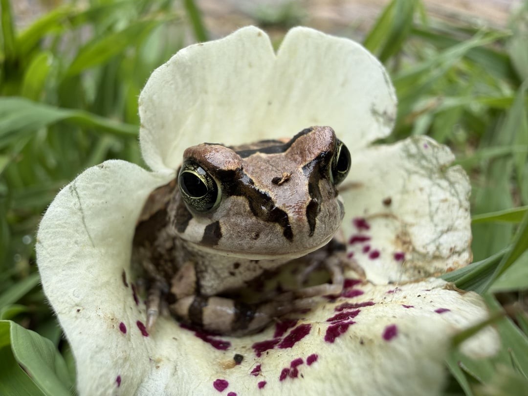 13. Неожиданная встреча