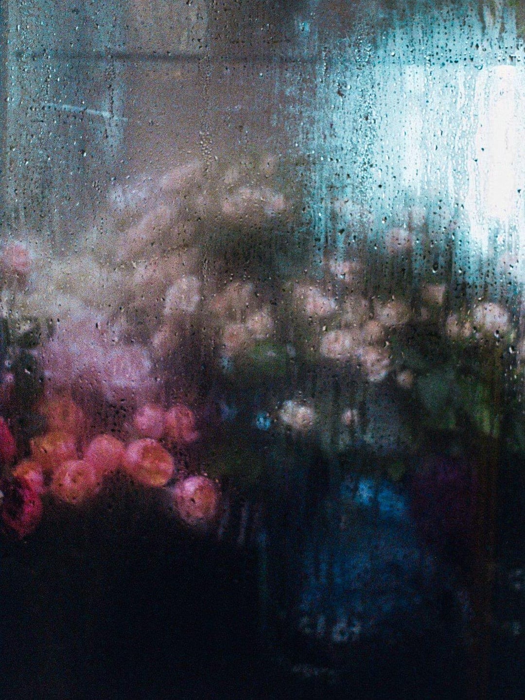 11. За завесой дождя