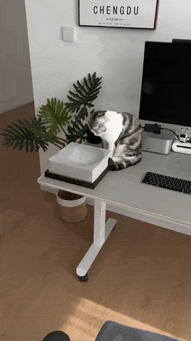 Просто гифки, всякие и&nbsp;разные