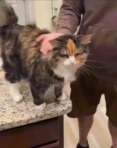 Просто гифки, всякие и&nbsp;разные