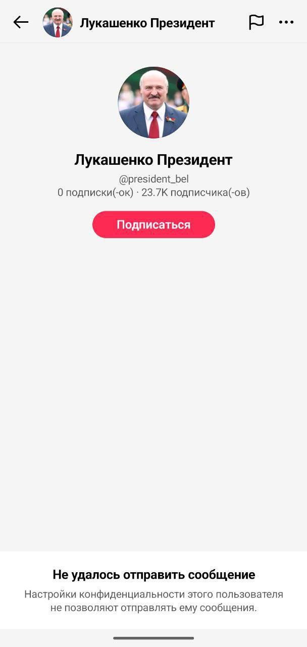 Лукашенко закрыл личные сообщения в TikTok после обещания ответить каждой женщине