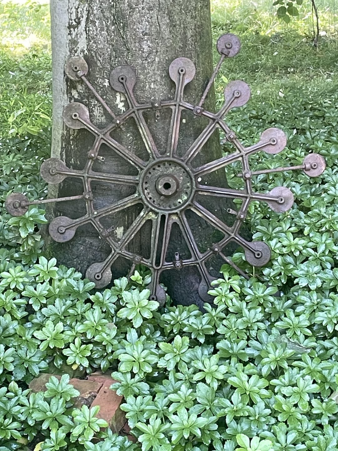 10. Старый железный предмет в форме колесных спиц с маленькими отверстиями на конце, найденный в лесу