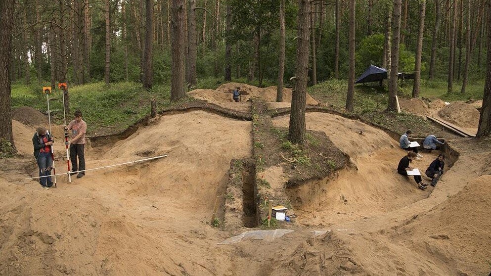 Самый знаменитый меч викингов из Гнездово крупным планом