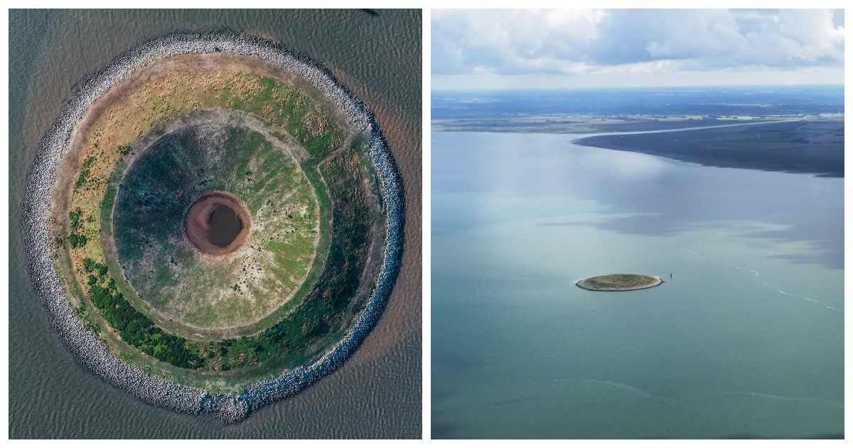 Остров-пончик: провальный проект, который природа спасла и сделала раем для птиц