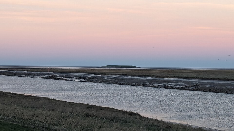 Остров-пончик: провальный проект, который природа спасла и сделала раем для птиц