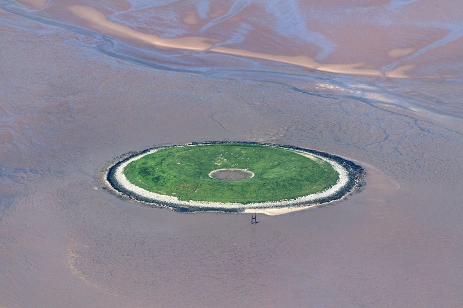 Остров-пончик: провальный проект, который природа спасла и сделала раем для птиц