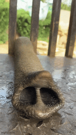 Просто гифки, всякие и&nbsp;разные. № 2000