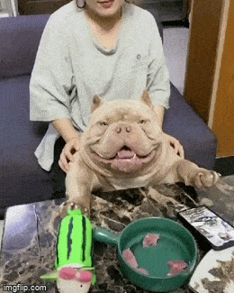 Просто гифки, всякие и&nbsp;разные. № 2000