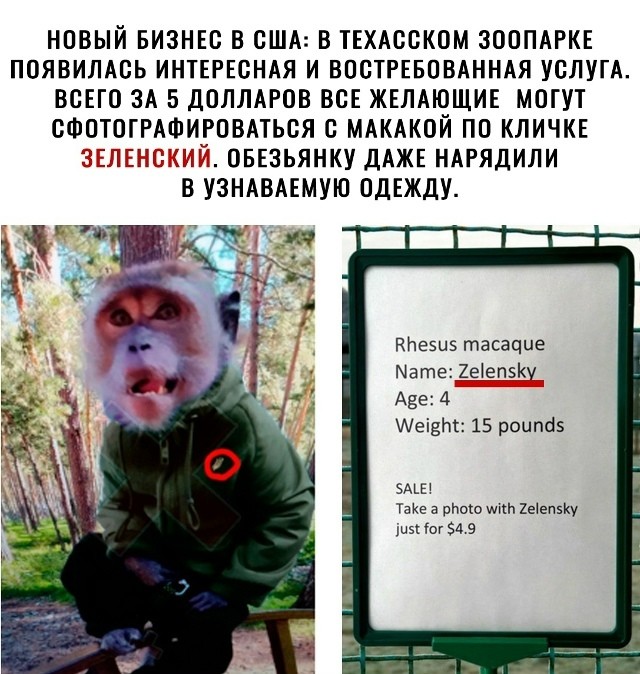 И не только лишь о политике