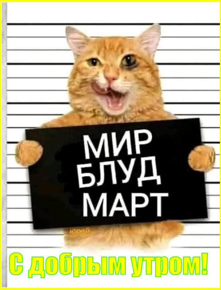 И не только лишь о политике