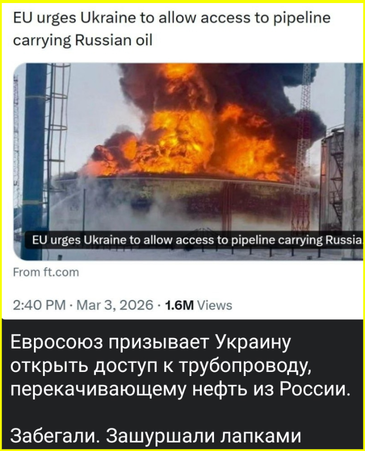 И не только лишь о политике