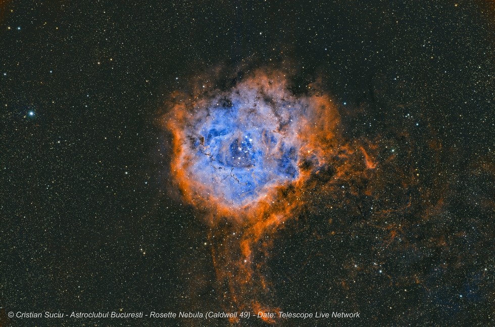 Миллиарды световых лет красоты: Звездные оранжереи к 8 Марта