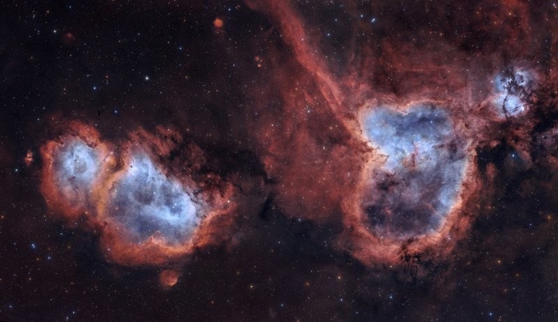 Миллиарды световых лет красоты: Звездные оранжереи к 8 Марта