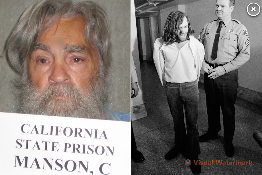 На каждого маньяка найдется баба с бизнес-планом