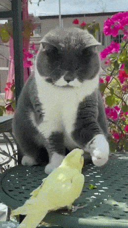 Просто гифки, всякие и&nbsp;разные