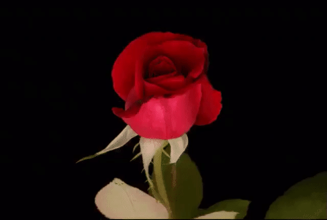 Просто гифки, всякие и&nbsp;разные