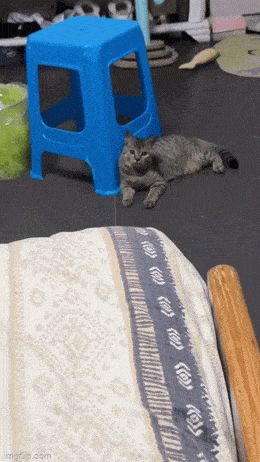 Просто гифки, всякие и&nbsp;разные