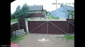 Просто гифки, всякие и&nbsp;разные