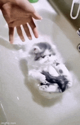 Просто гифки, всякие и&nbsp;разные