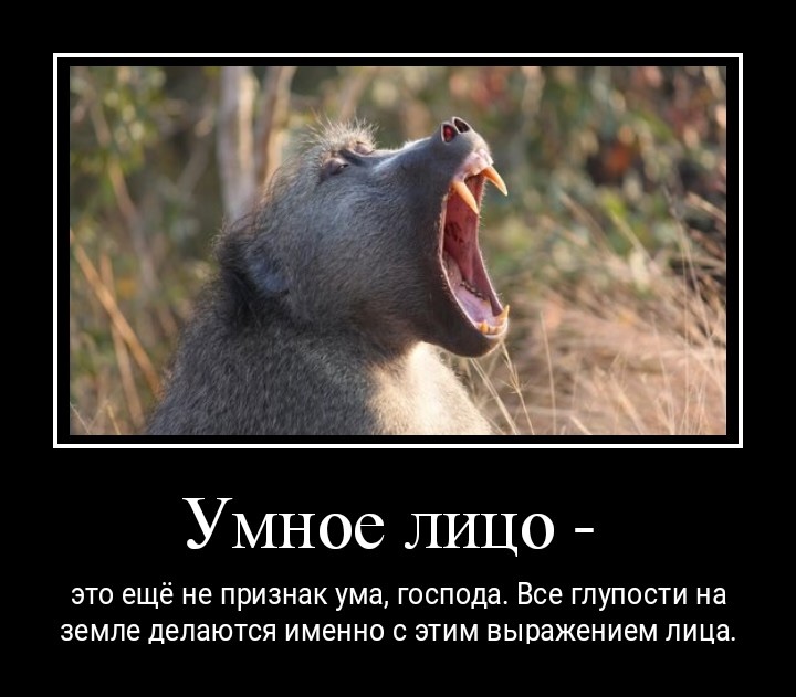 Демотиваторы заряженные позитивом