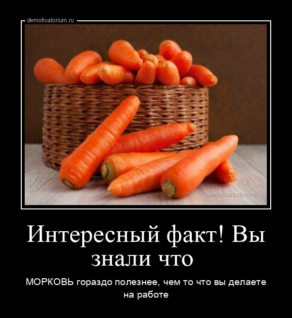 Демотиваторы заряженные позитивом