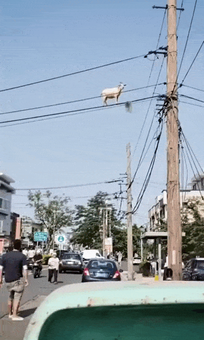 Просто гифки, всякие и&nbsp;разные