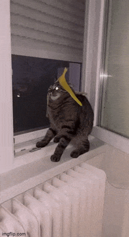 Просто гифки, всякие и&nbsp;разные