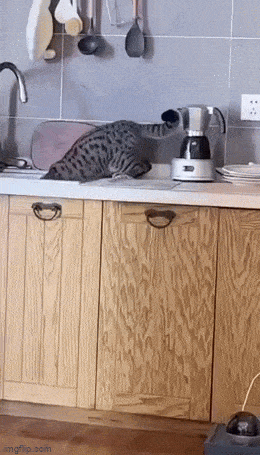 Просто гифки, всякие и&nbsp;разные