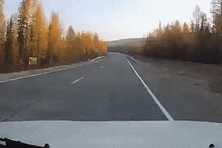 Просто гифки, всякие и&nbsp;разные