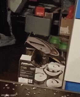 Просто гифки, всякие и&nbsp;разные