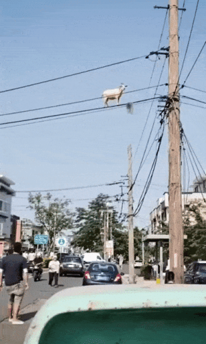 Просто гифки, всякие и&nbsp;разные