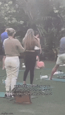 Просто гифки, всякие и&nbsp;разные