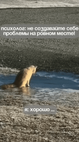 Просто гифки, всякие и&nbsp;разные