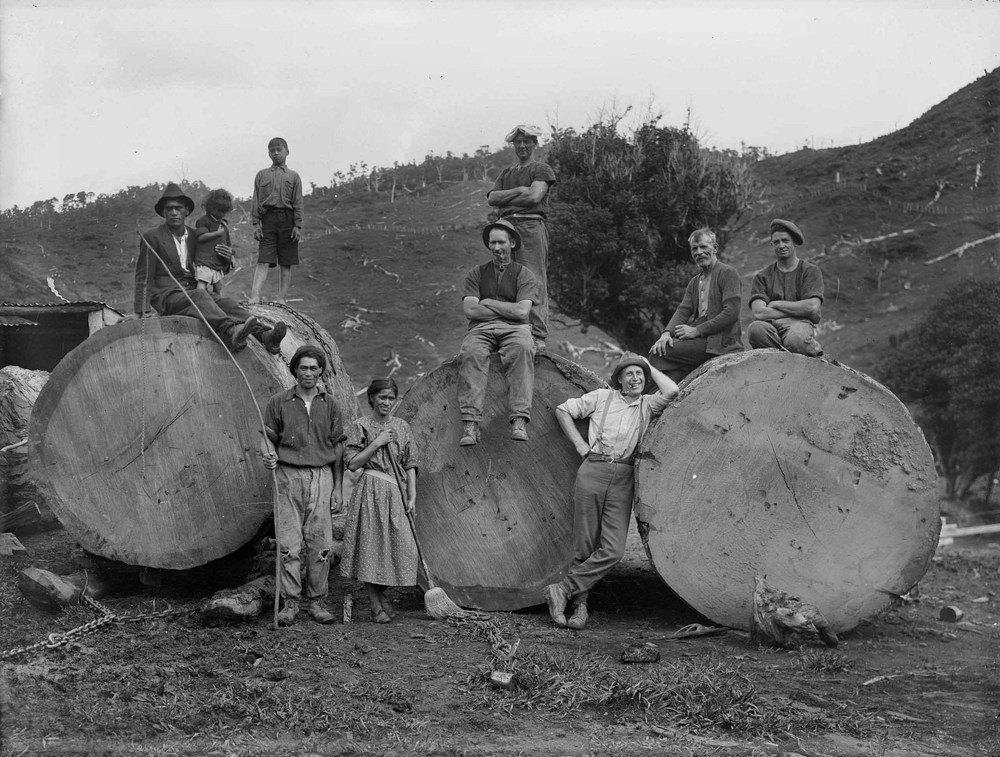 Как новозеландские лесорубы научили реки работать на себя