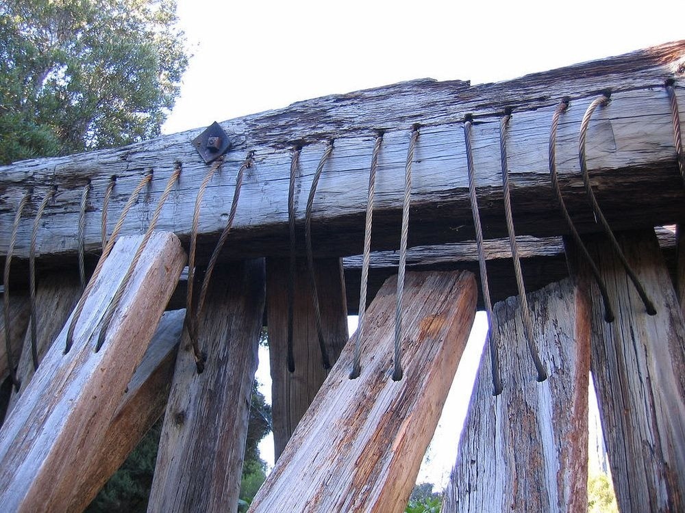 Как новозеландские лесорубы научили реки работать на себя