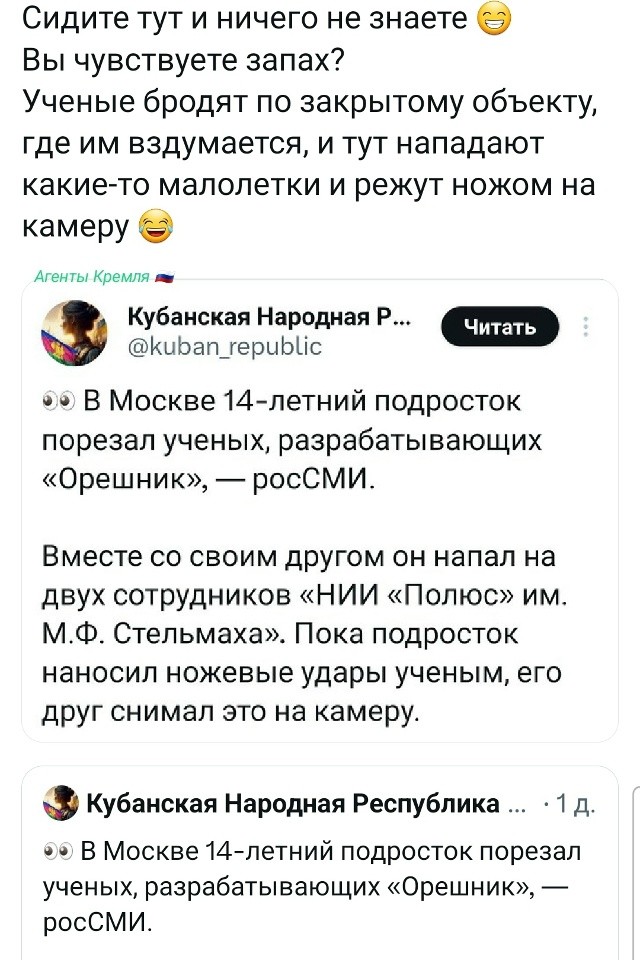 Сводки из дурдома
