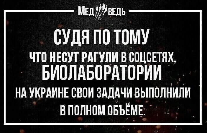 Политика , политика и лишь малость не о ней