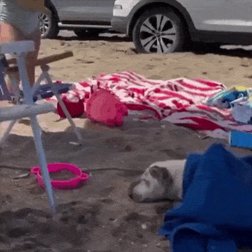 Просто гифки, всякие и&nbsp;разные