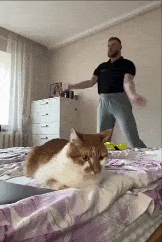 Просто гифки, всякие и&nbsp;разные