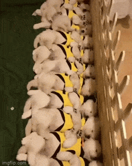 Просто гифки, всякие и&nbsp;разные