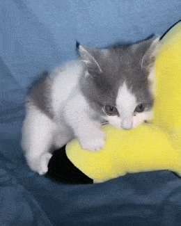 Просто гифки, всякие и&nbsp;разные