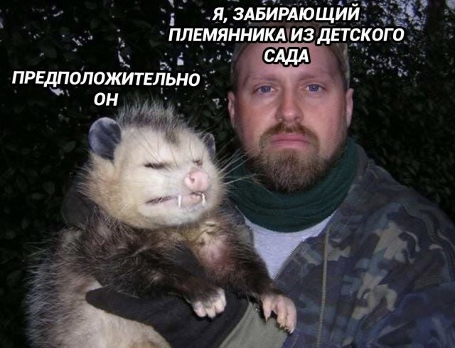 Скрины из соцсетей