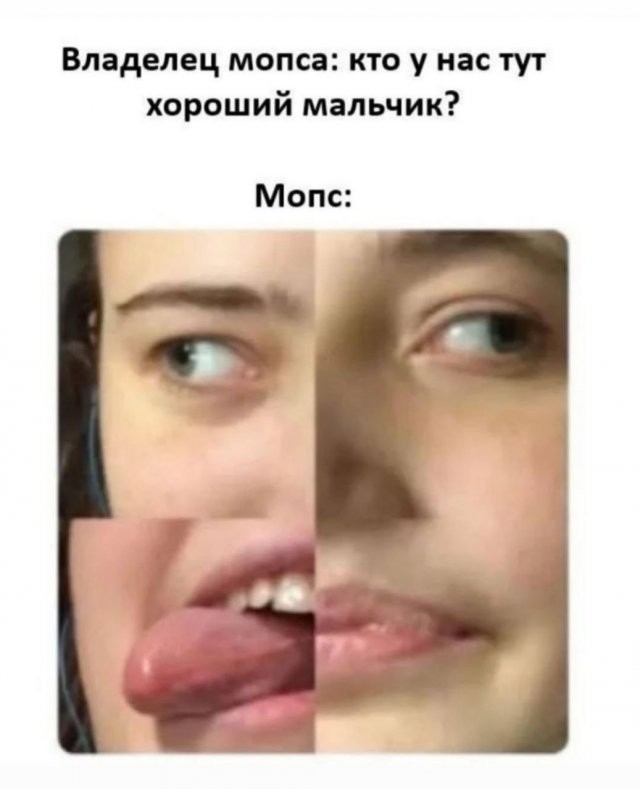 Скрины из соцсетей