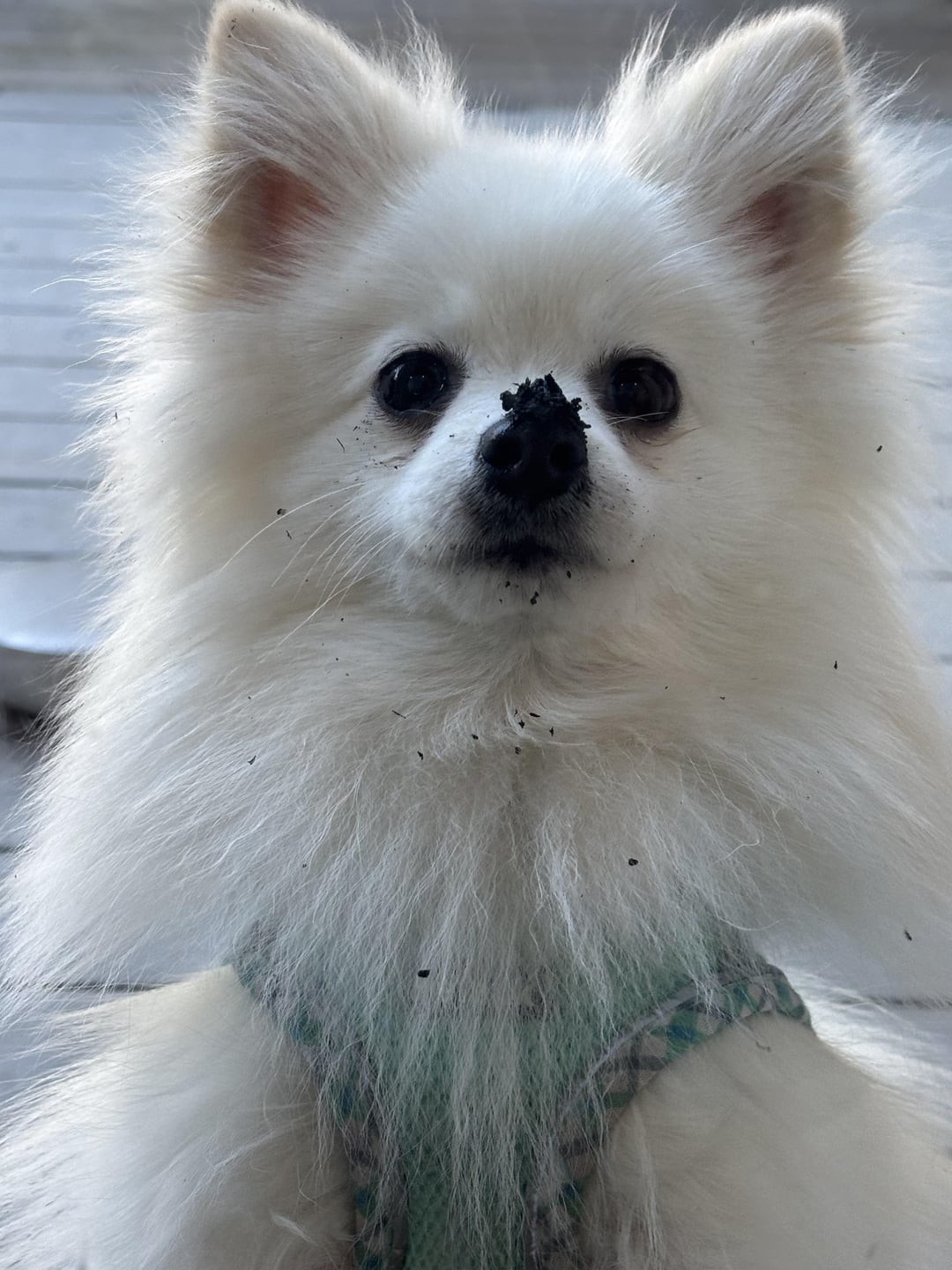 6. К огородно-полевым работам готов