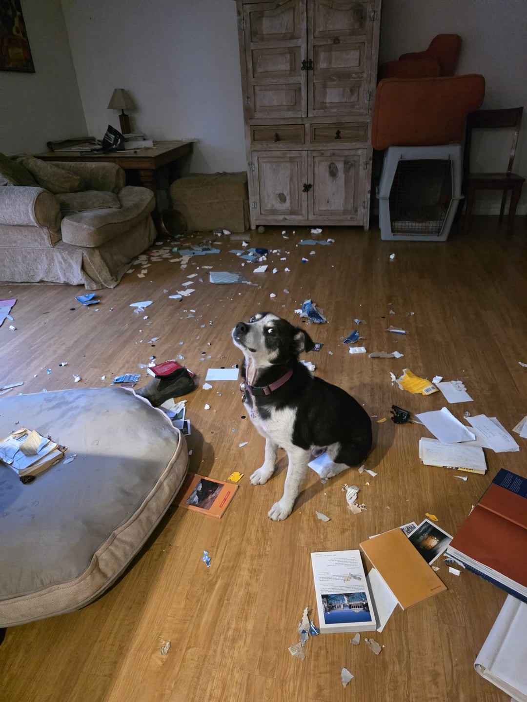 14. Ни дня без приключений