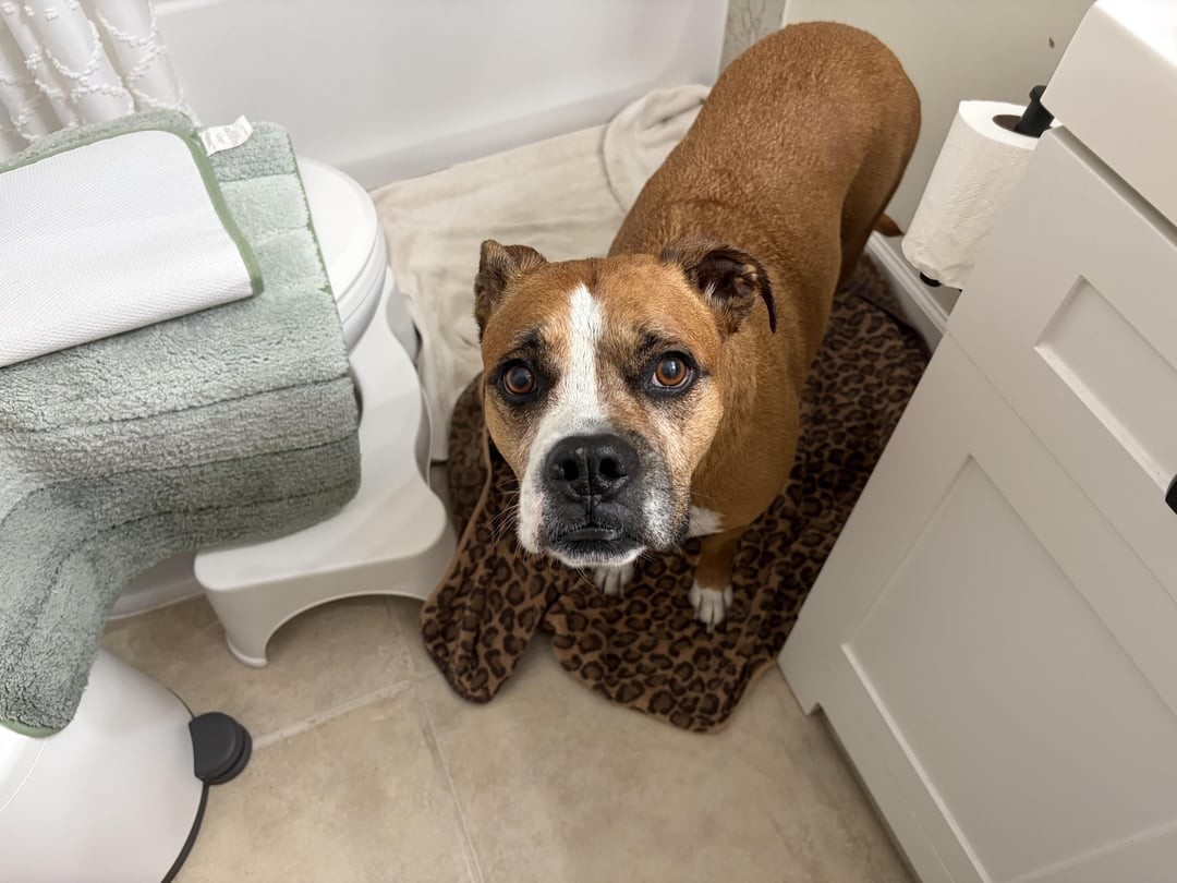 22. Мне стыдно, но я буду пакостить снова и снова