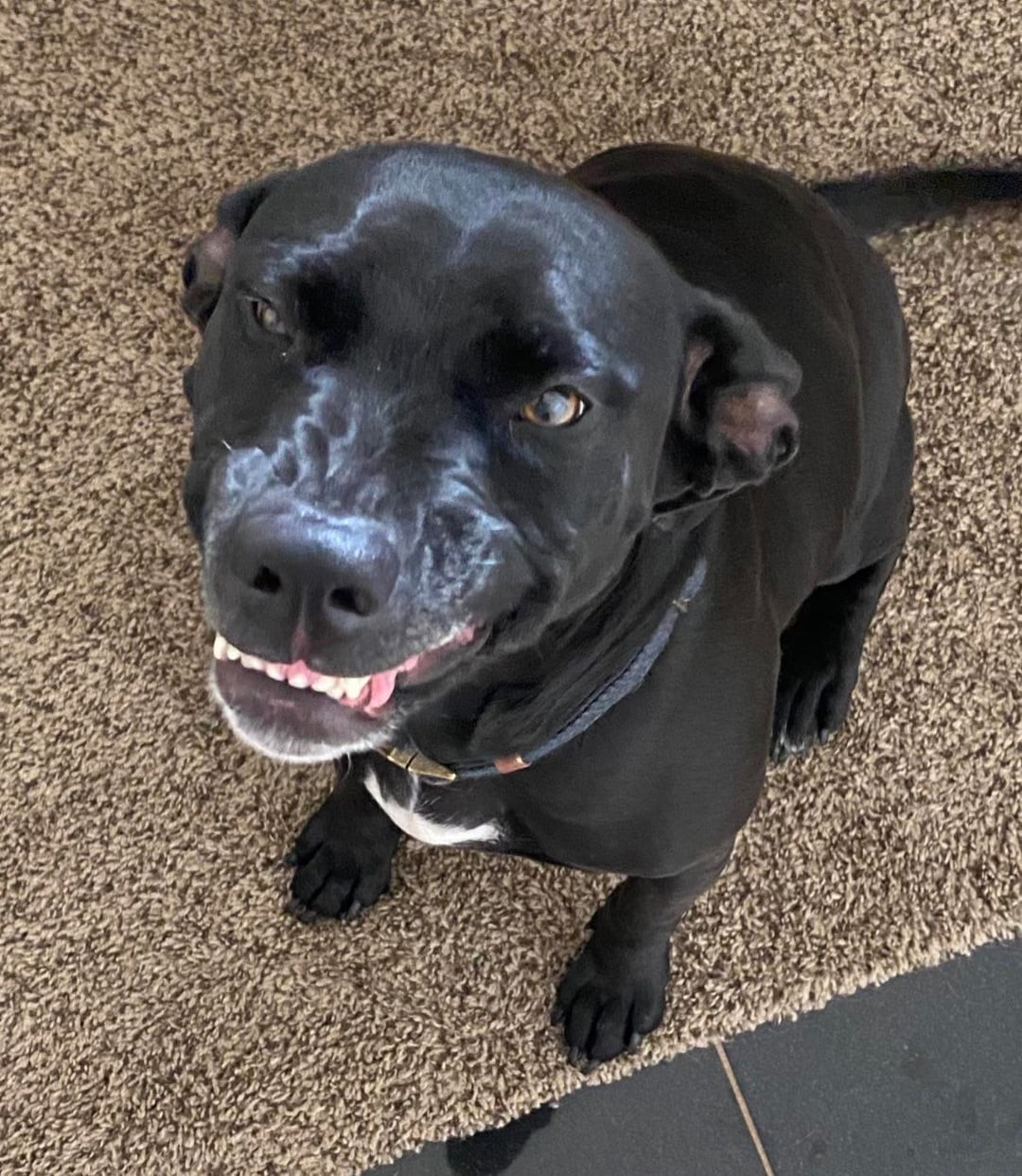 20. В любой непонятной ситуации улыбайся