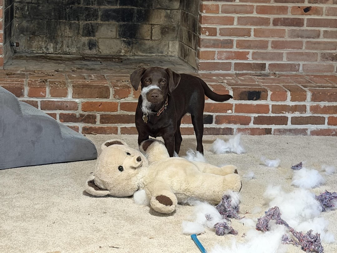 25. Безоговорочная победа