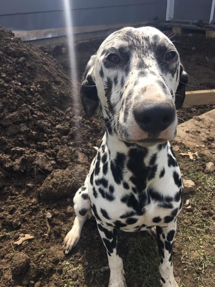9. С чувством выполненного долга